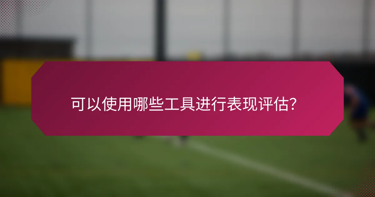 可以使用哪些工具进行表现评估?