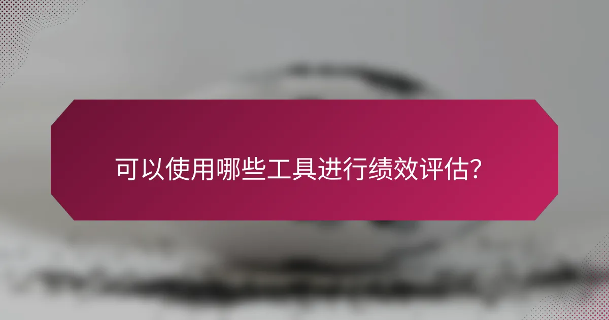 可以使用哪些工具进行绩效评估?