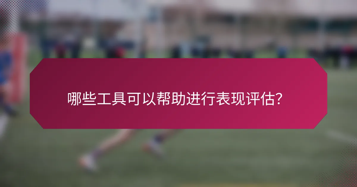 哪些工具可以帮助进行表现评估？