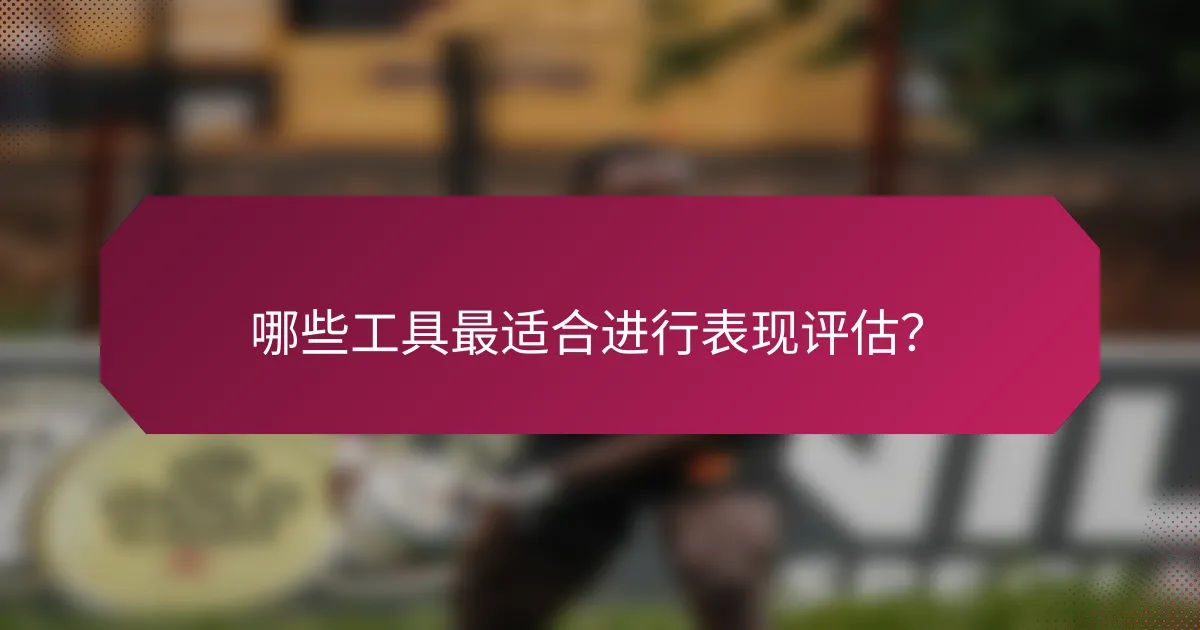 哪些工具最适合进行表现评估?