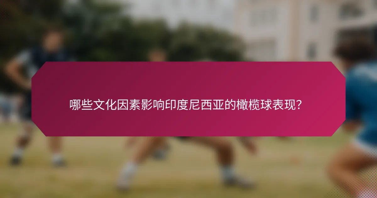 哪些文化因素影响印度尼西亚的橄榄球表现？