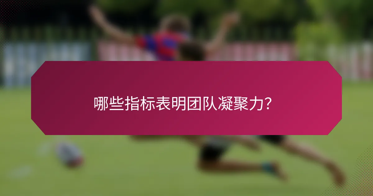 哪些指标表明团队凝聚力?