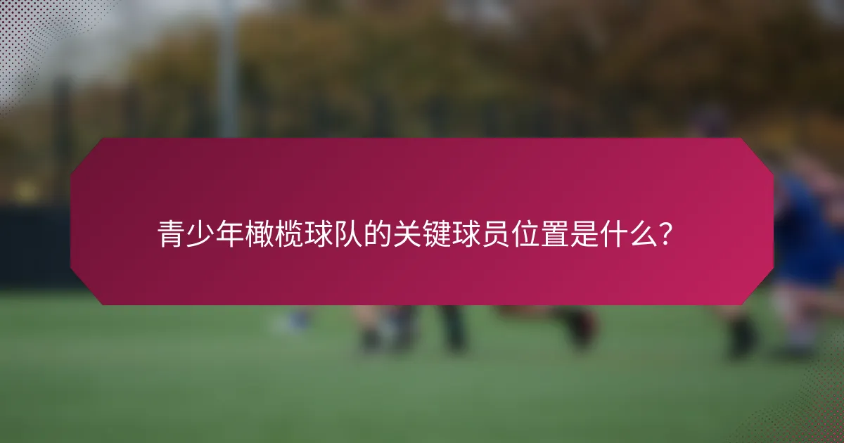 青少年橄榄球队的关键球员位置是什么？