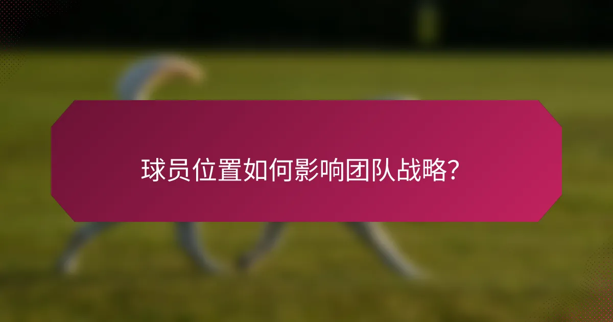 球员位置如何影响团队战略?
