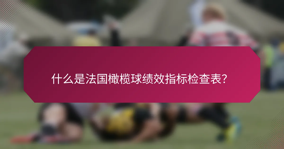 什么是法国橄榄球绩效指标检查表?