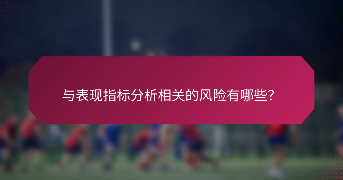 与表现指标分析相关的风险有哪些？